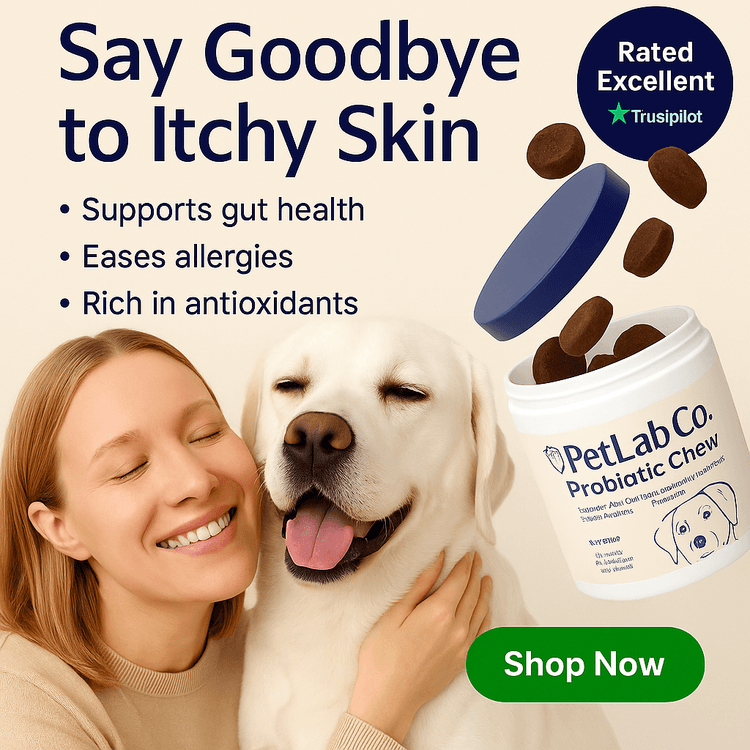 AI Generated Ad Image 6