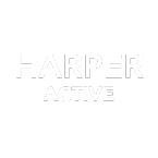 Partner Logo 3